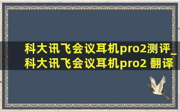 科大讯飞会议耳机pro2测评_科大讯飞会议耳机pro2 翻译